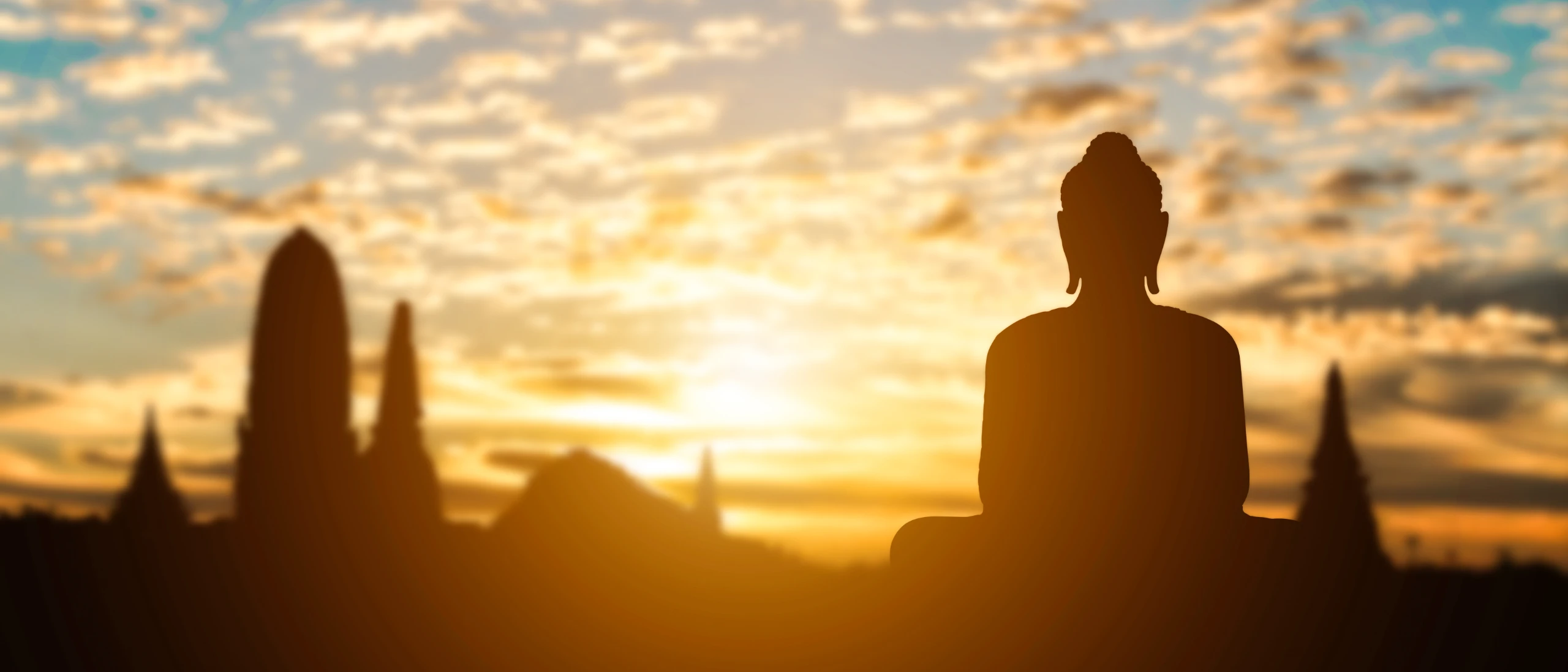 request a private ritual, destiny reading, or partner service plan